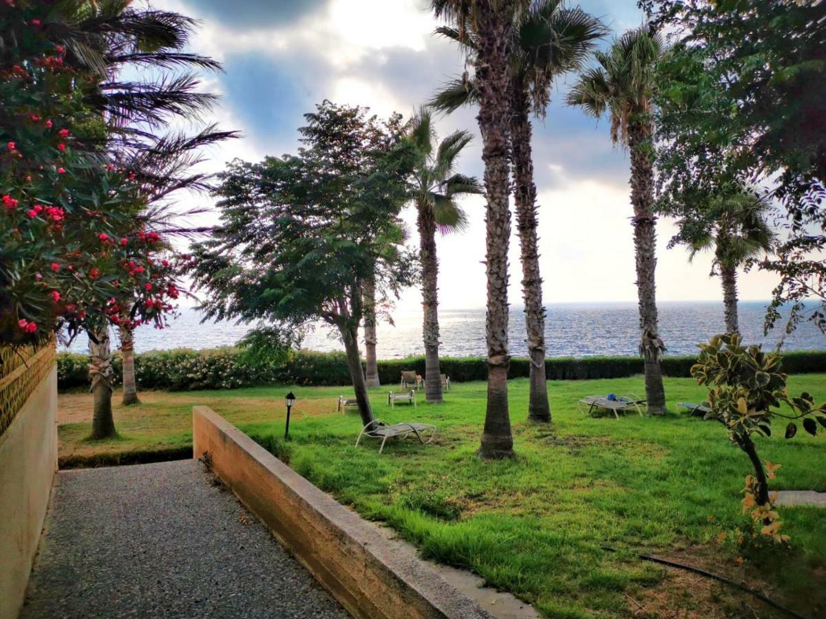 King Alexander 22 Pafos